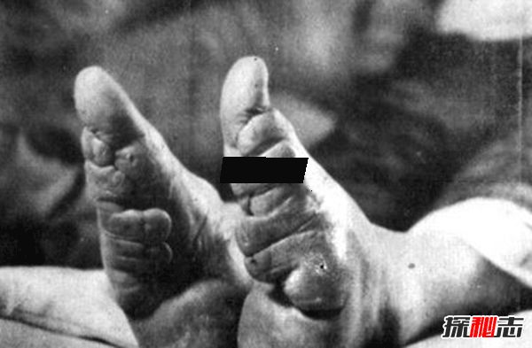 ���ŵ���ʷ��Դ ��ȥ�������������ʲô���ӵ�?