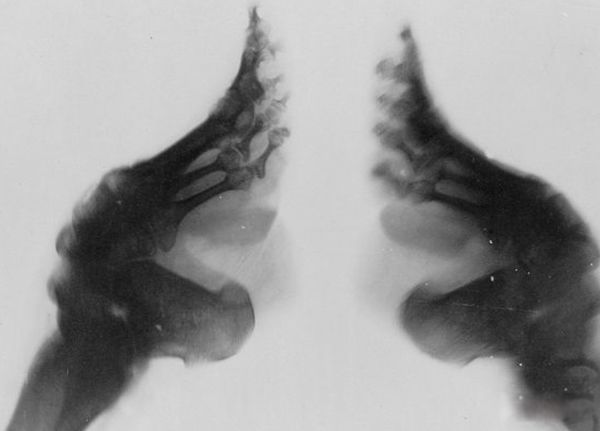 ���ŵ���ʷ��Դ ��ȥ�������������ʲô���ӵ�?