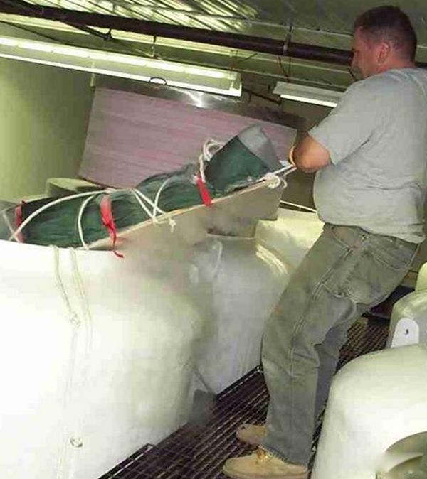 世界第一位冰冻人复活 詹姆斯贝德福解冻复活成功了吗