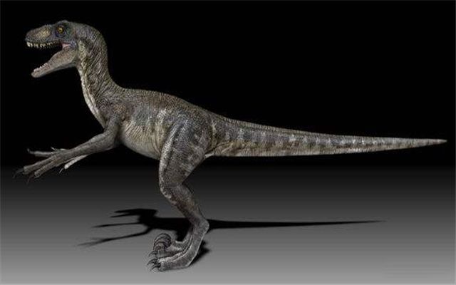 最后的恐龙是什么恐龙 世界上最后的10只恐龙最恐怖的动物