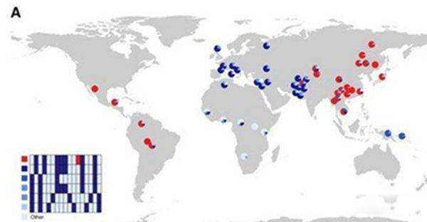 ĩ�α�����ʲô��˼ʲôʱ�� ��Ҫ��������Щ