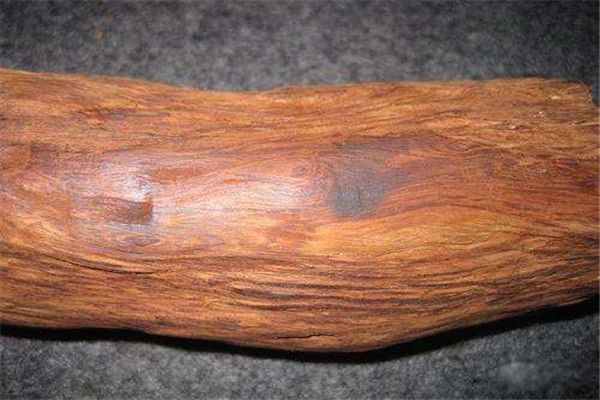 �ҹ���Ӳ��ľͷ������� ��̴ľ��;�ǳ��Ĺ㷺