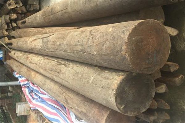 �ҹ���Ӳ��ľͷ������� ��̴ľ��;�ǳ��Ĺ㷺