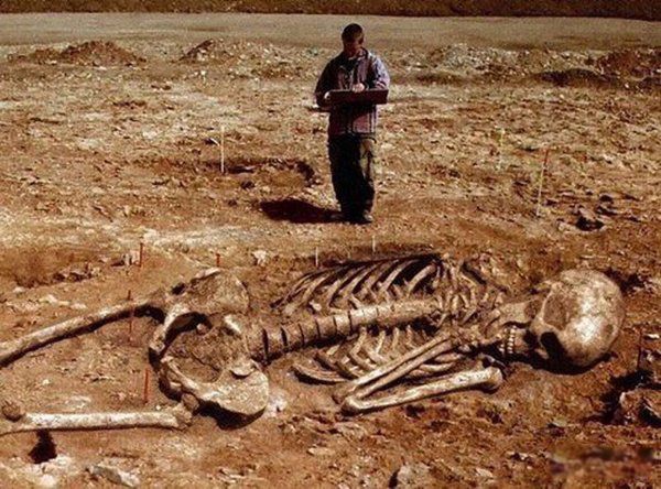 65米巨人遗骨相片是真的吗 中国考古发现的巨人骸骨