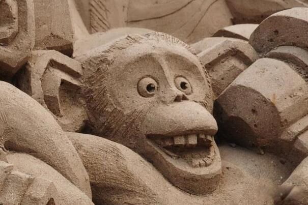 形容一个人沙雕是什么意思 女生叫男生沙雕是“傻屌”吗