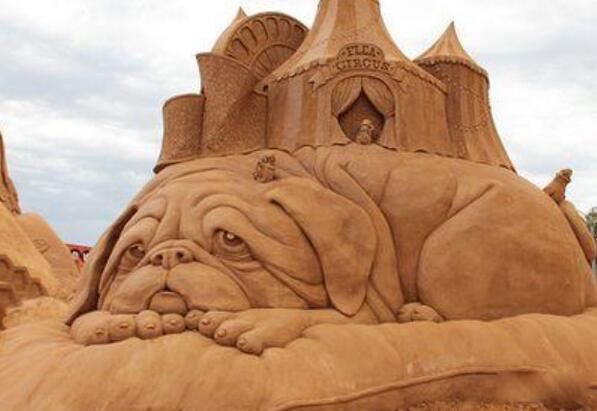 形容一个人沙雕是什么意思 女生叫男生沙雕是“傻屌”吗