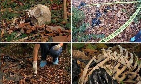 ������ʬũ����Ƶ��ô���� ʬ��ũ���Ǹ�ʲô��