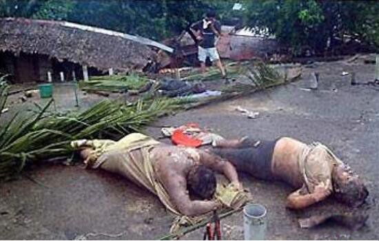 ������ʬũ����Ƶ��ô���� ʬ��ũ���Ǹ�ʲô��