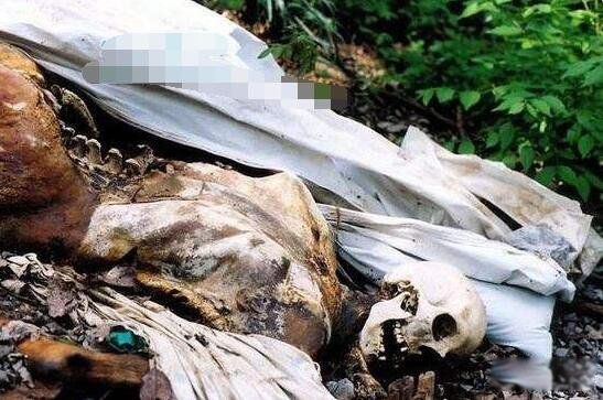 ������ʬũ����Ƶ��ô���� ʬ��ũ���Ǹ�ʲô��