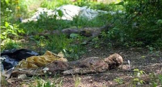 ������ʬũ����Ƶ��ô���� ʬ��ũ���Ǹ�ʲô��