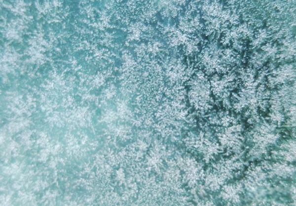 ����ѩ��ֱ���ж�� ��һ��ѩ������˭��