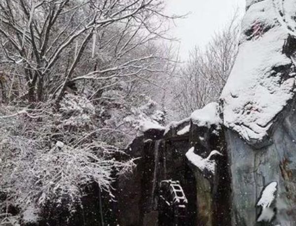 ����ѩ��ֱ���ж�� ��һ��ѩ������˭������������