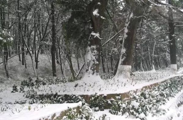 ����ѩ��ֱ���ж�� ��һ��ѩ������˭������������