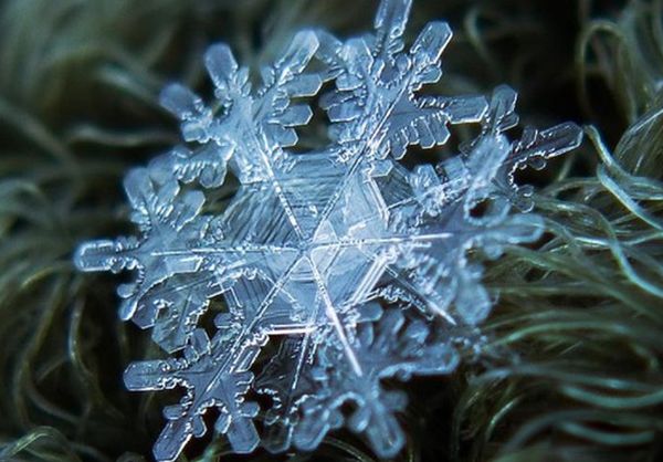 ����ѩ��ֱ���ж�� ��һ��ѩ������˭������������