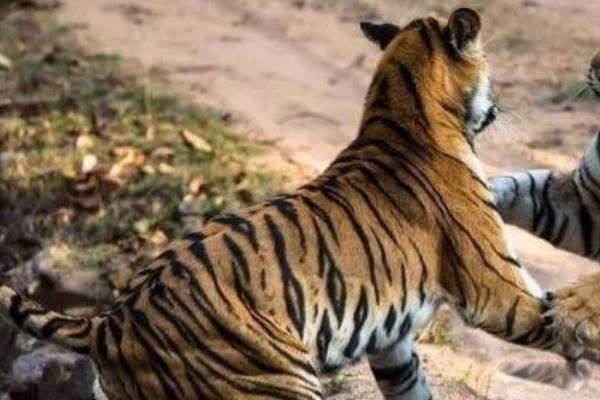 �����ϻ����˵��¼�����ʼĩ �ϻ�ҧ�˵�����ȥ��