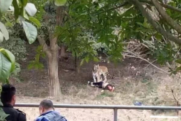 �����ϻ����˵��¼�����ʼĩ �ϻ�ҧ�˵�����ȥ��