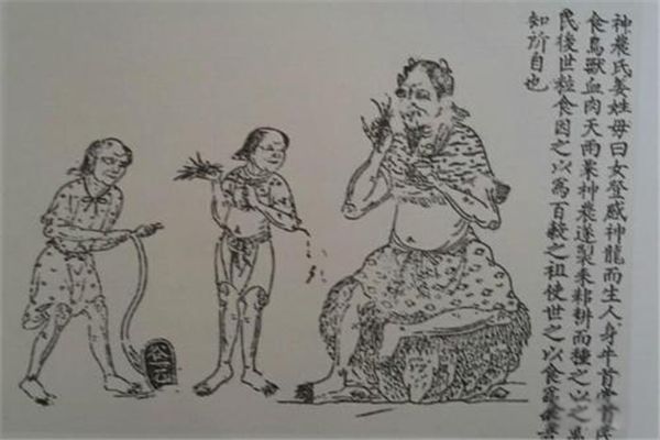 �׵۵Ĳ��¶���˭ ������丸���׵����µĵ�һ��