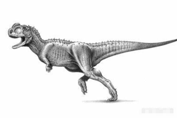 ��������ʲô��ͼƬ �������ǿ�����