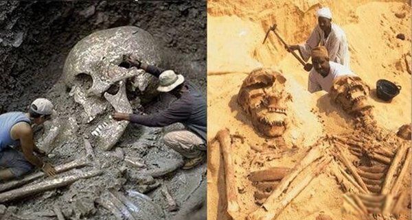 65米巨人遗骨相片是真的吗 中国考古发现的巨人骸骨
