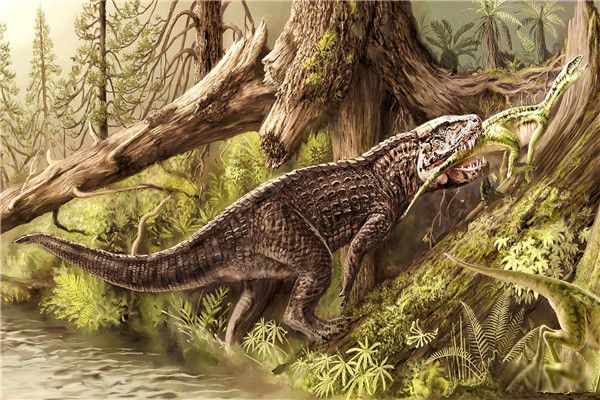 ��˹������ʲô���� ��˹���������㻹�ǿ���