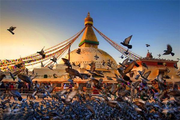 �Ჴ������Ӥ���¼������Ǽ� ����Ӥ����С�����������Ի���֢