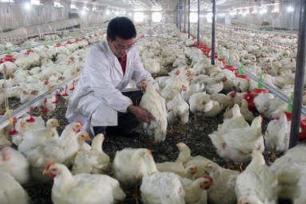 ���뿴֩�뼦����Ƭ ֩�뼦���׳�ʲô����