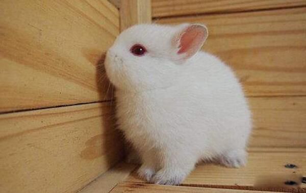 ����٪��������һ������� ����٪��������ܳ����