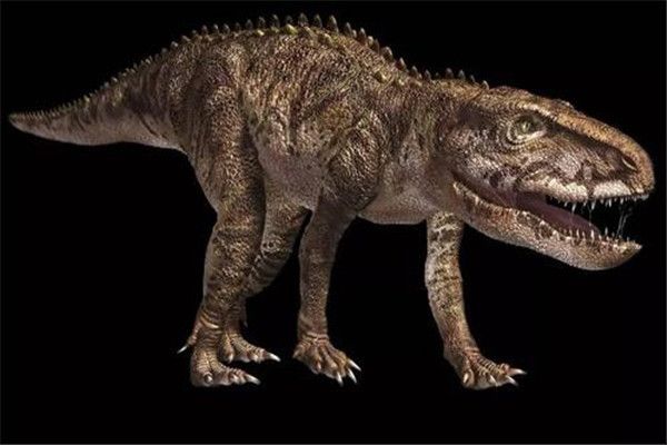 ��˹������ʲô���� ��˹���������㻹�ǿ���