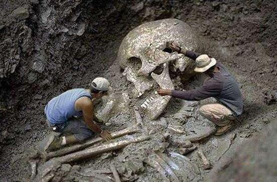 ��һ��̫���͸��������� �����������ĵ���ֻ�۾���ʲô