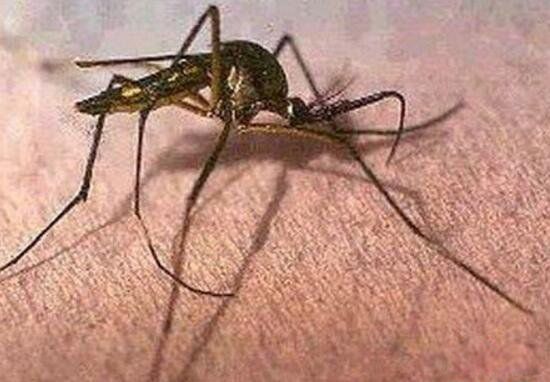 �𸹾����ж�� �𸹾��û᲻����Ѫҧ����