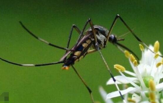 �𸹾����ж�� �𸹾��û᲻����Ѫҧ����