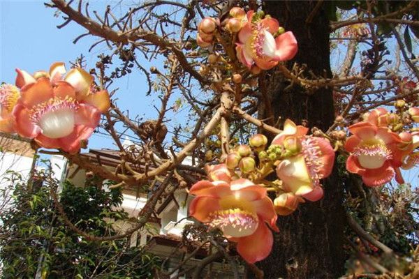 �ڵ������ͼƬ �ڵ�����������һ����