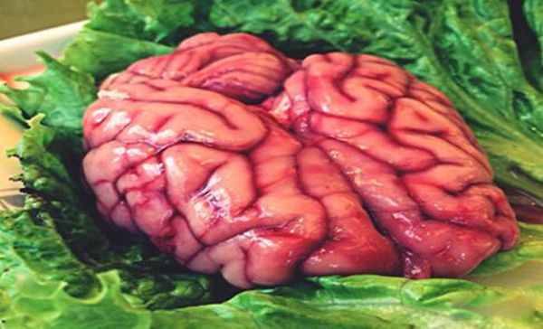 �Ի���ʲô���� �Ի���Ӫ����ֵ����Ч