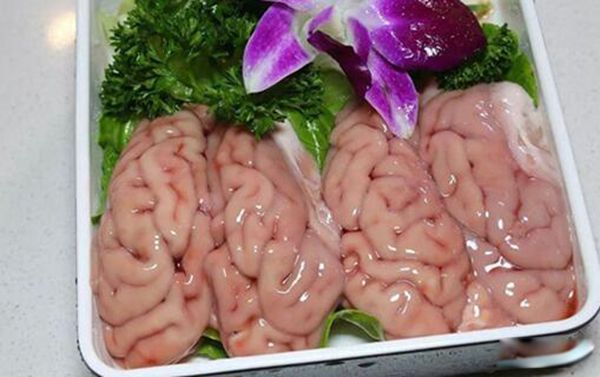 脑花是什么东西 脑花的营养价值及功效