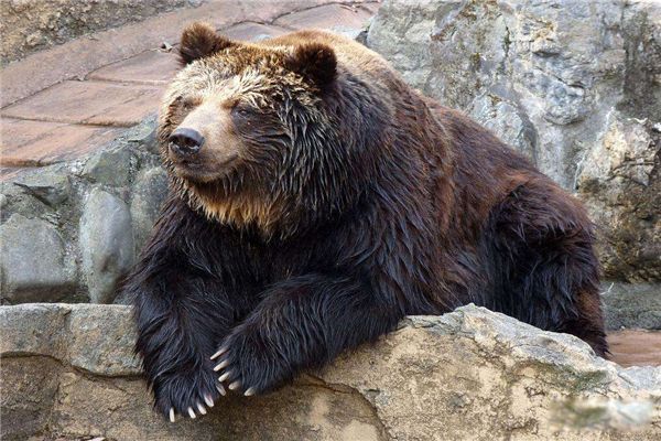 �����ܿƶ�����ʲô ȫ��ʮ������������