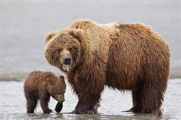 �����ܿƶ�����ʲô ȫ��ʮ������������