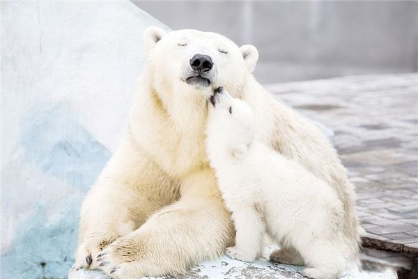 �����ܿƶ�����ʲô ȫ��ʮ������������