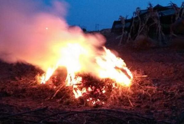 ������ʲô��˼ ���������������