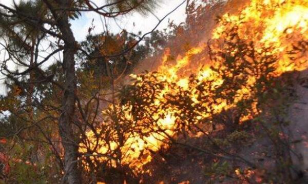 ������ʲô��˼ ���������������