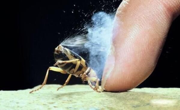 ���ڲ�������滹�Ǻ��� ���ڲ��׶��������˺���