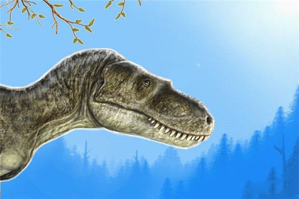 ���������ǰ������� ����������ʲô����