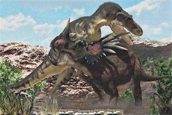 ���������ǰ������� ����������ʲô����