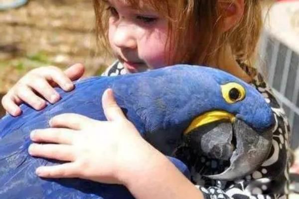 �����������ͼƬ�ж�� ������������Ǽ�����������