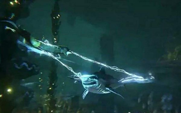 ����Ϊʲô��ŵ��ܵ������� �����ŵ���߿ɴ���ٷ�