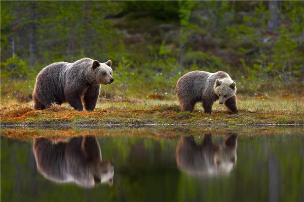 �����ܿƶ�����ʲô ȫ��ʮ������������