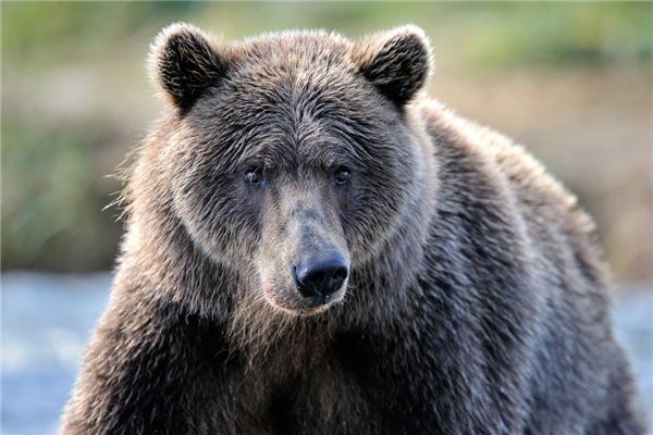 �����ܿƶ�����ʲô ȫ��ʮ������������