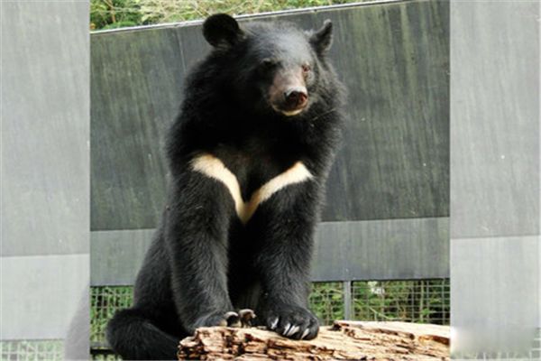 �����ܿƶ�����ʲô ȫ��ʮ������������