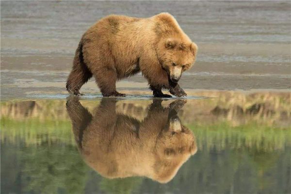 �����ܿƶ�����ʲô ȫ��ʮ������������