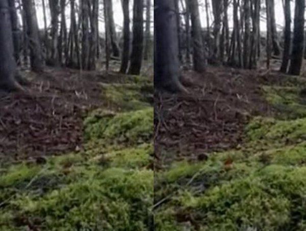 诡异事件真人真事 照片上鬼影竟是42年前的自己感到毛骨悚然