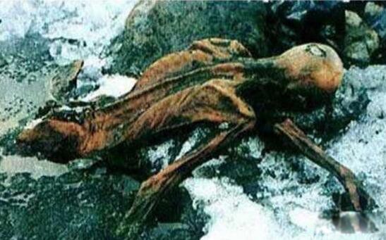 ����ʮ��а�ŵĹ�Ĺ���� ͼ̹���ɷ���Ĺȥ�����˹������ȥ